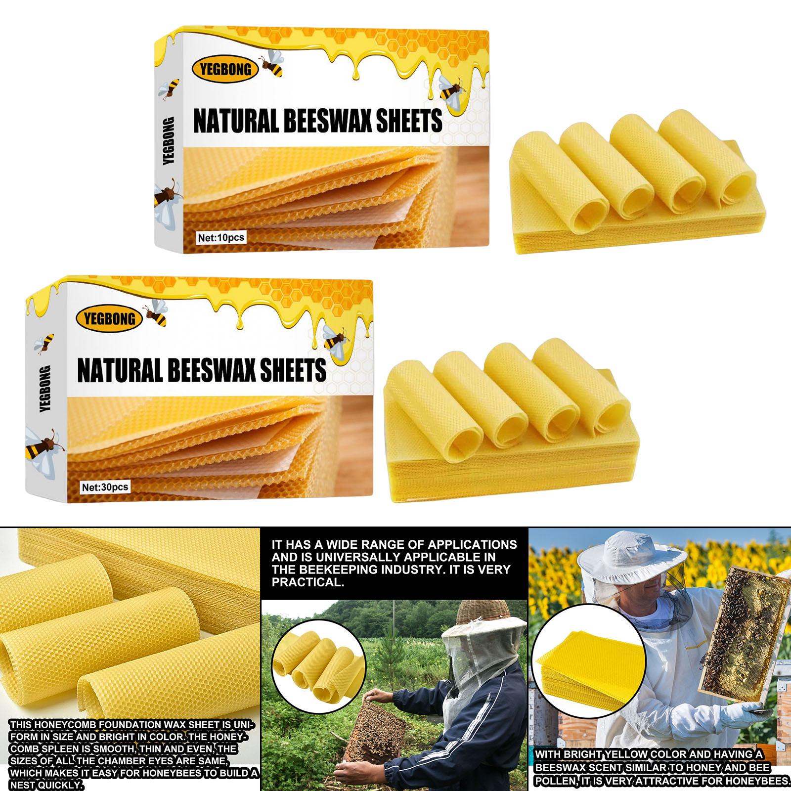 แผ่นขี้ผึ้ง, แผ่นฐานสำหรับเลี้ - Candle Making With Beeswax บทวิจารณ์และราคา