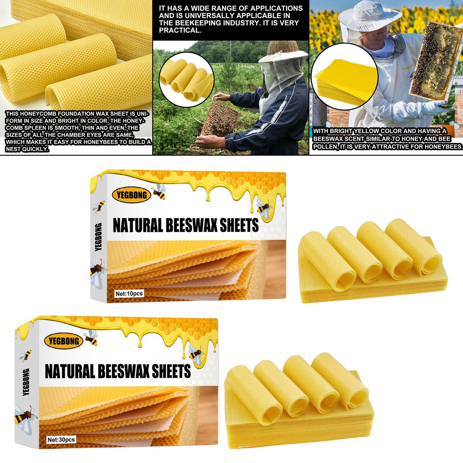 แผ่นขี้ผึ้ง, แผ่นฐานสำหรับเลี้ - Candle Making With Beeswax บทวิจารณ์และราคา